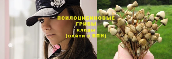 метадон Алексеевка