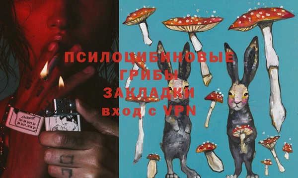 твердый Абинск