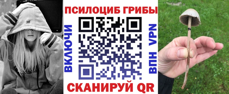 Галлюциногенные грибы Psilocybe  наркотики  Братск 